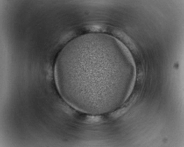 X0000102480469200808221711