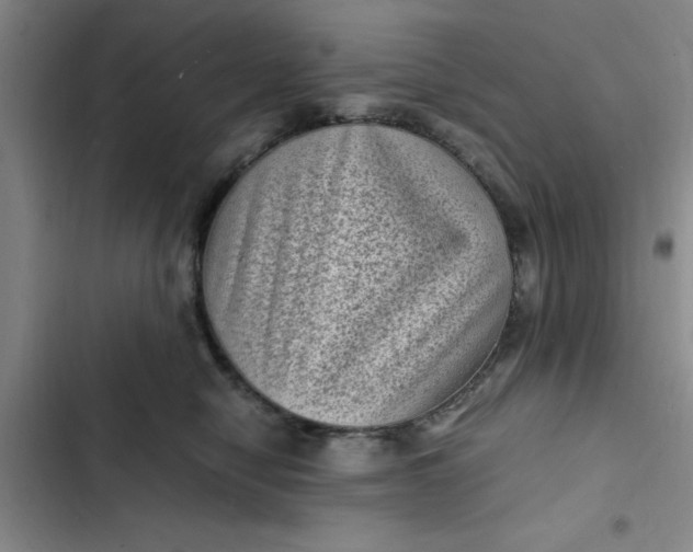 X0000102480470200808221711