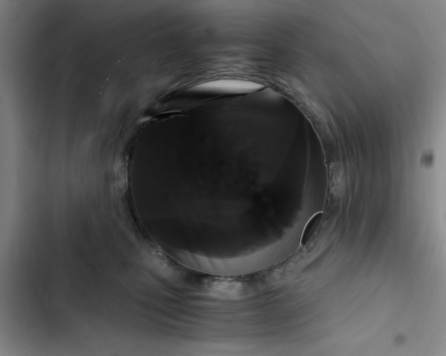 X0000102480471200808221711