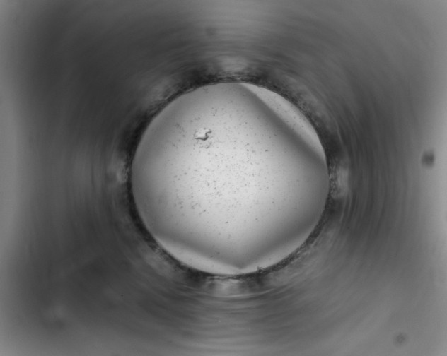 X0000102480472200808221711