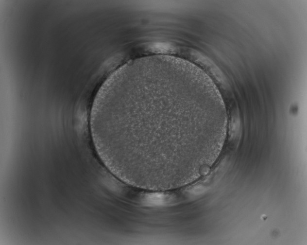 X0000102480473200808221711