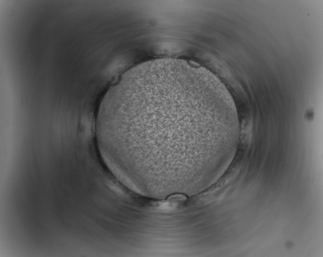 X0000102480474200808221711