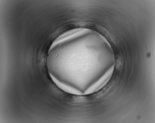 X0000102480476200808221711