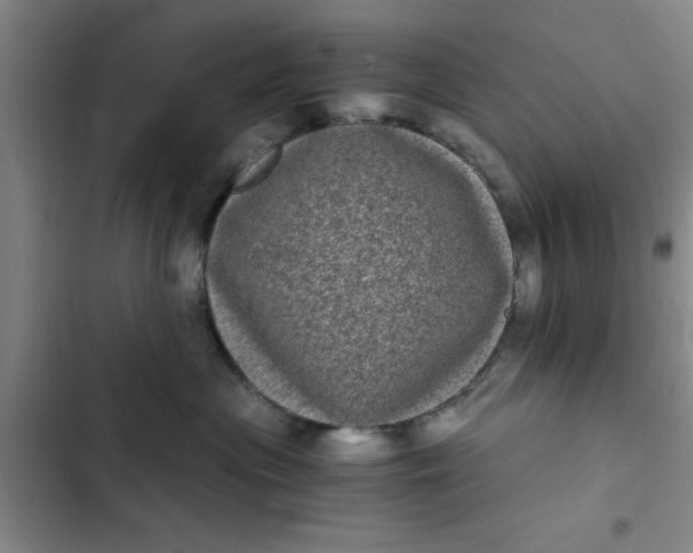 X0000102480477200808221711