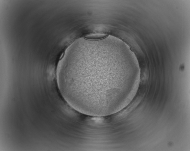 X0000102480478200808221711