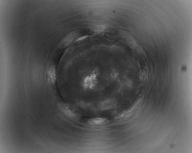 X0000102480479200808221711