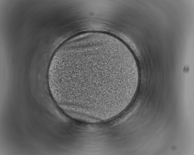 X0000102480481200808221710