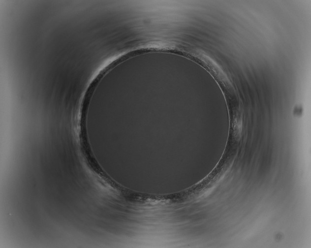 X0000102480484200808221710