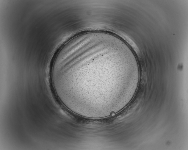 X0000102480485200808221710