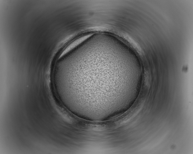 X0000102480486200808221710