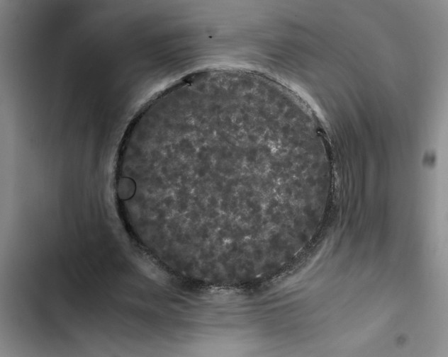 X0000102480487200808221710