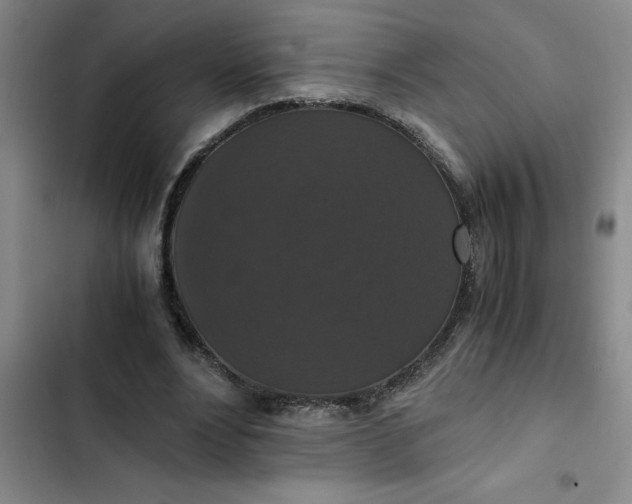 X0000102480488200808221710