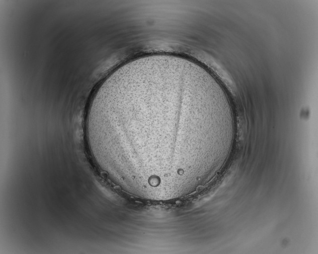 X0000102480489200808221710