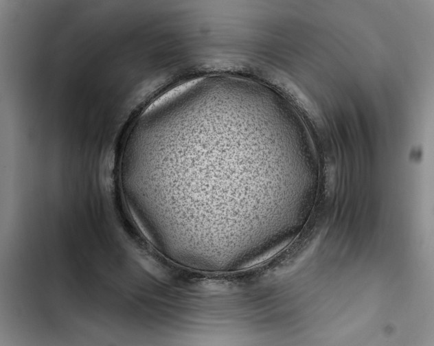 X0000102480490200808221710