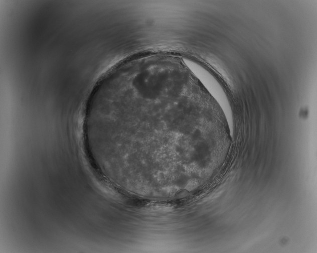 X0000102480491200808221710