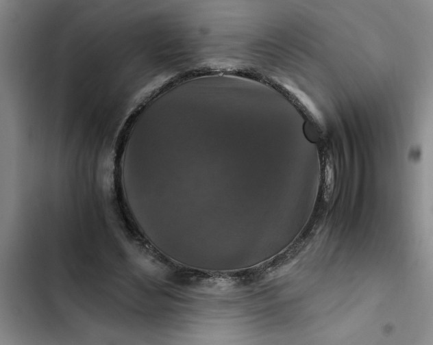 X0000102480492200808221710