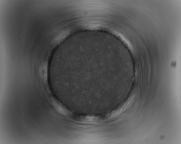 X0000102480493200808221710