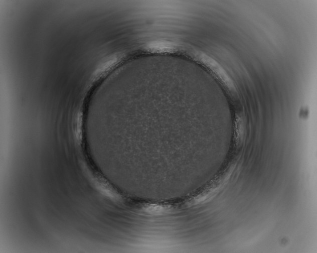 X0000102480494200808221710