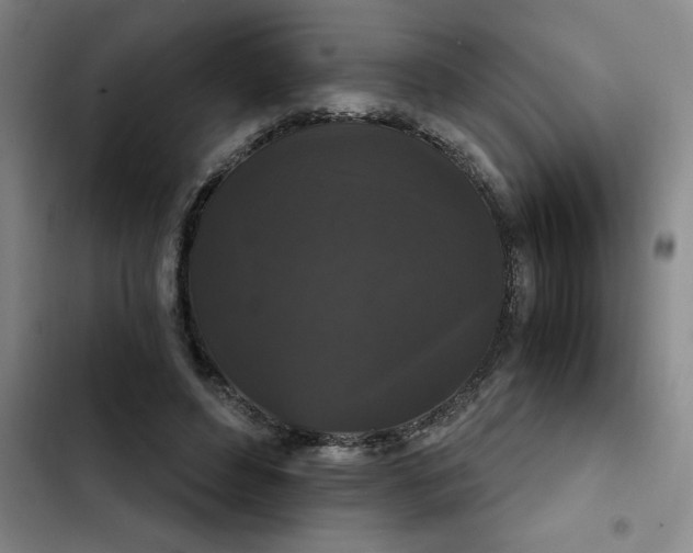 X0000102480496200808221710