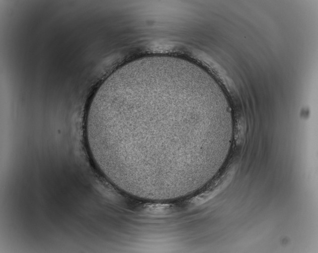 X0000102480497200808221710