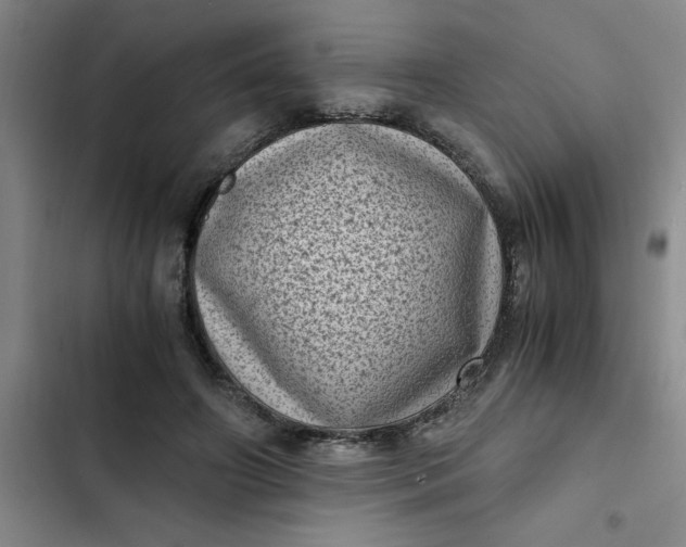 X0000102480498200808221710