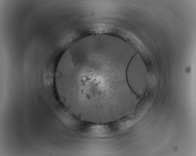 X0000102480499200808221710