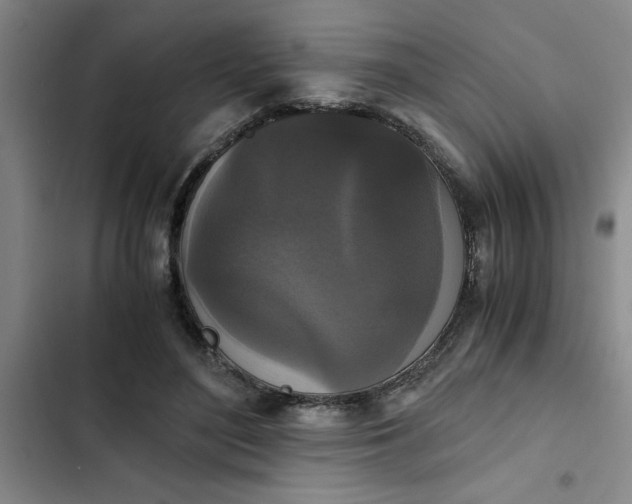 X0000102480500200808221710