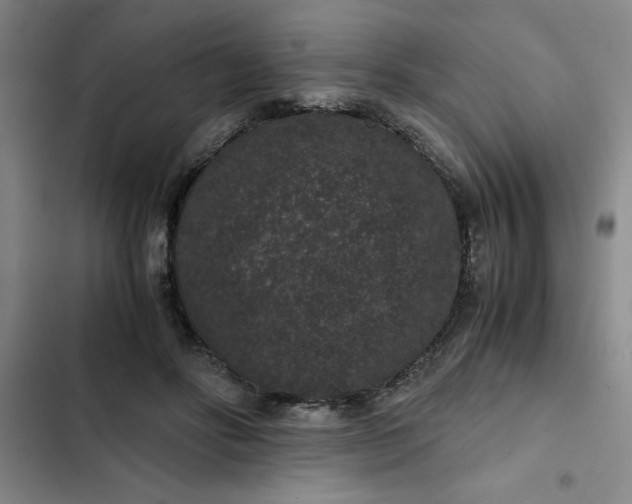 X0000102480502200808221710