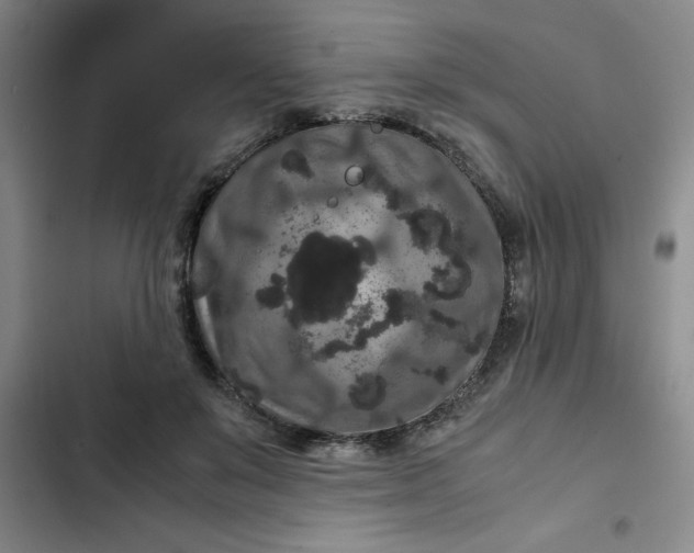 X0000102480503200808221710