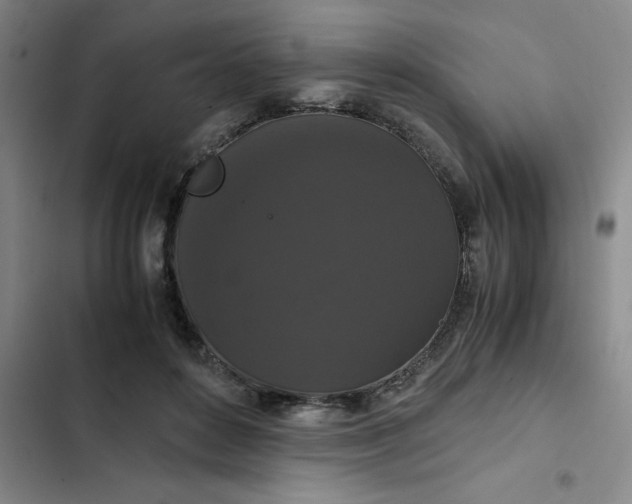 X0000102480504200808221710