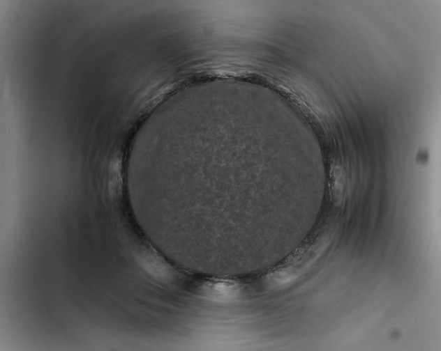 X0000102480506200808221710