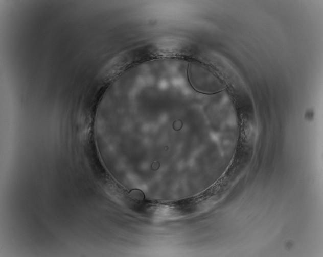 X0000102480507200808221710