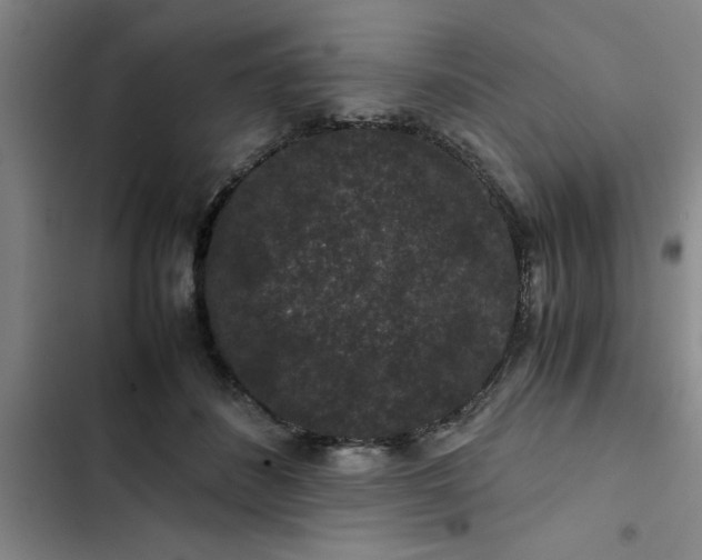 X0000102480508200808221710