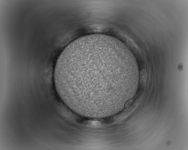 X0000102480509200808221710