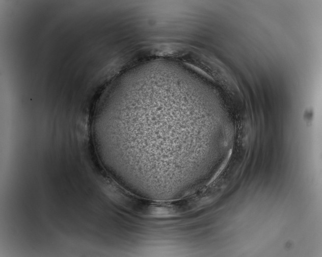 X0000102480510200808221710