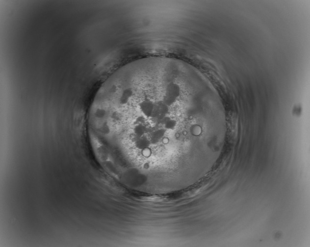 X0000102480511200808221710