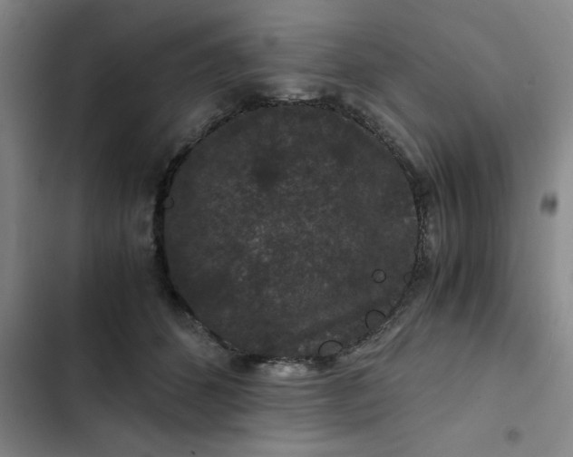 X0000102480512200808221710