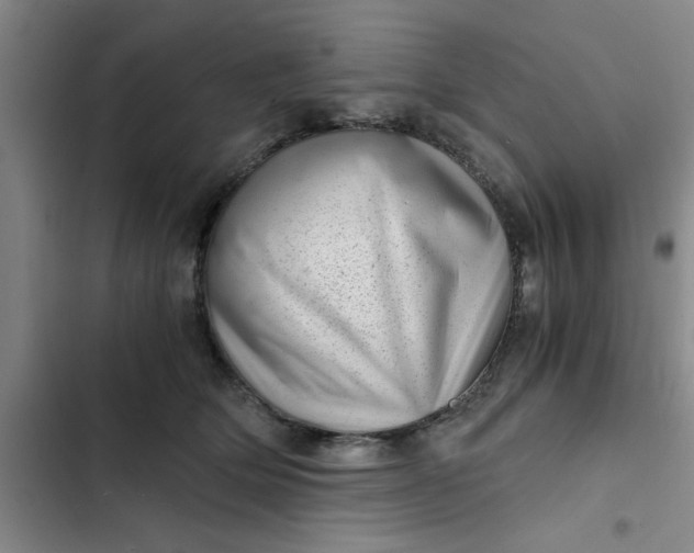 X0000102480514200808221710