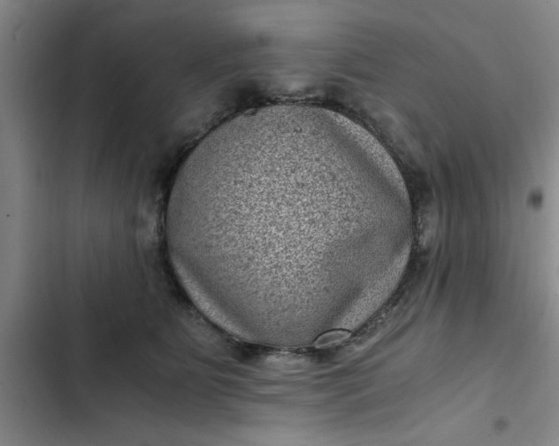 X0000102480515200808221710