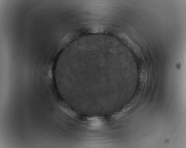 X0000102480516200808221710