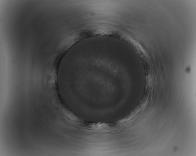 X0000102480517200808221710