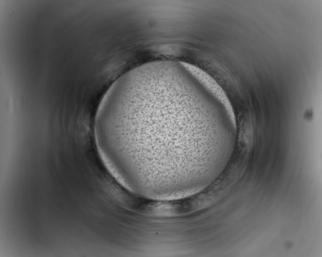 X0000102480518200808221710