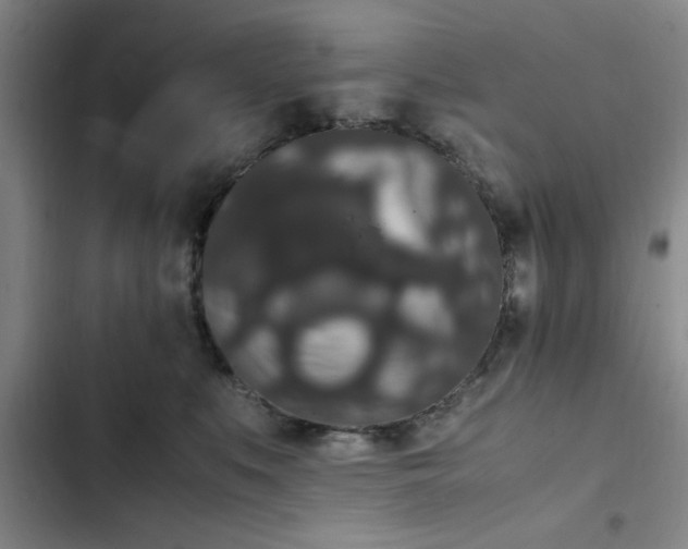 X0000102480519200808221710