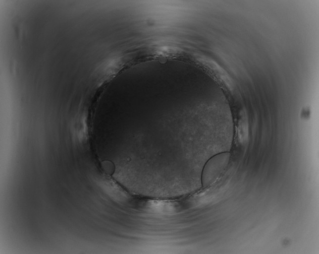 X0000102480520200808221710