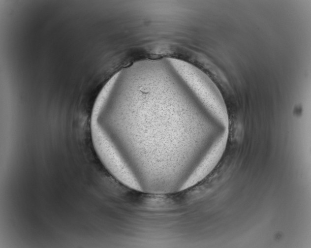 X0000102480521200808221710