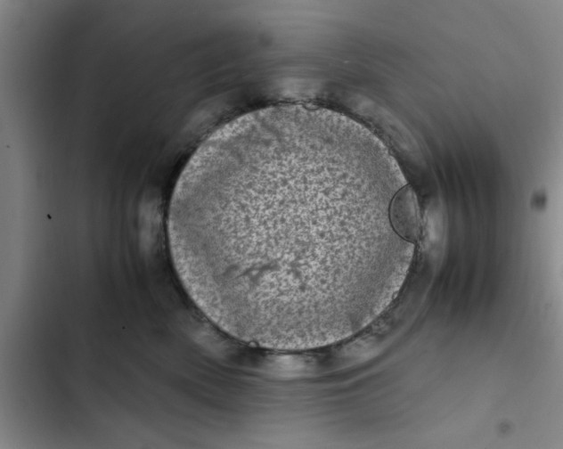 X0000102480522200808221710