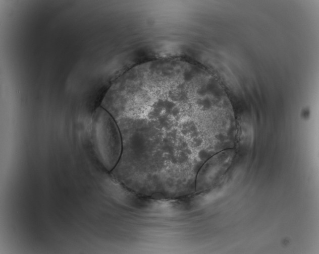 X0000102480523200808221710