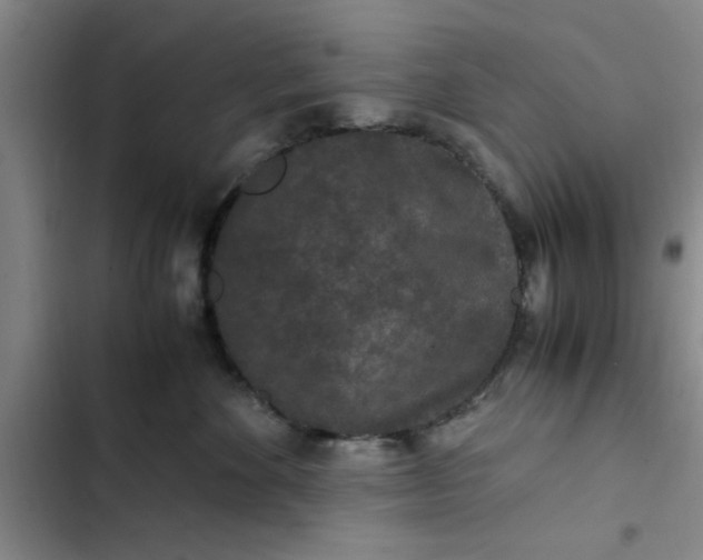 X0000102480524200808221710