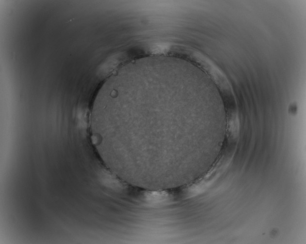 X0000102480525200808221710