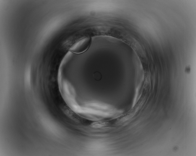 X0000102480526200808221710